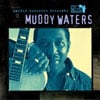 Muddy Waters